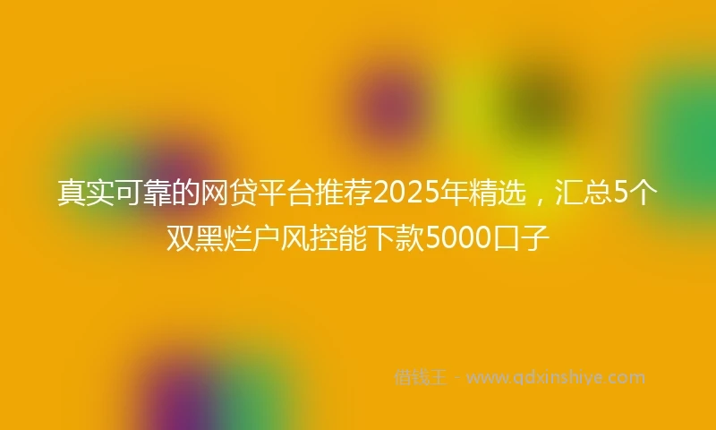真实可靠的网贷平台推荐2025年精选，汇总5个双黑烂户风控能下款5000口子