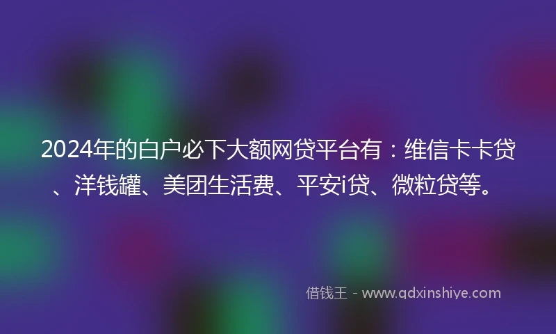2024年的白户必下大额网贷平台有：维信卡卡贷、洋钱罐、美团生活费、平安i贷、微粒贷等。