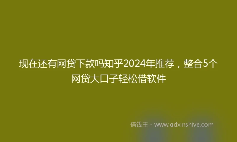 现在还有网贷下款吗知乎2024年推荐，整合5个网贷大口子轻松借软件