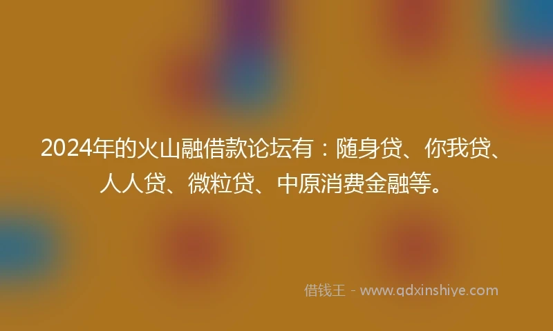 2024年的火山融借款论坛有：随身贷、你我贷、人人贷、微粒贷、中原消费金融等。