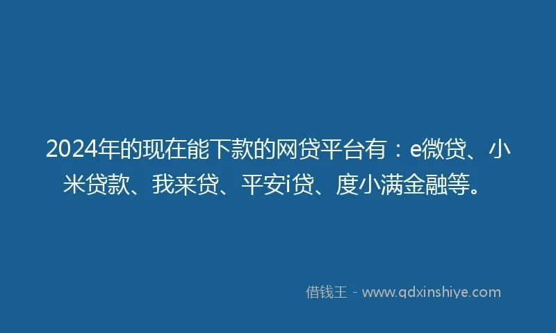2024年的现在能下款的网贷平台有：e微贷、小米贷款、我来贷、平安i贷、度小满金融等。