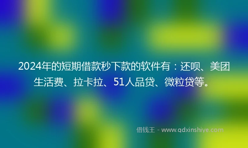 2024年的短期借款秒下款的软件有：还呗、美团生活费、拉卡拉、51人品贷、微粒贷等。