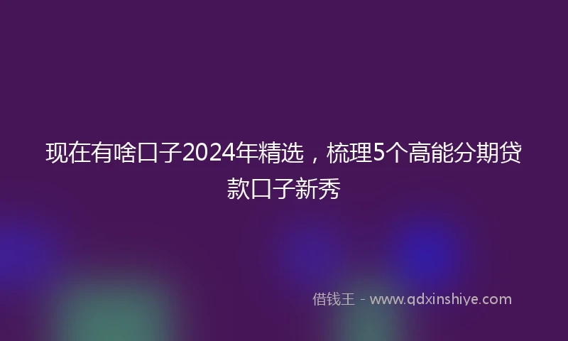 现在有啥口子2024年精选，梳理5个高能分期贷款口子新秀