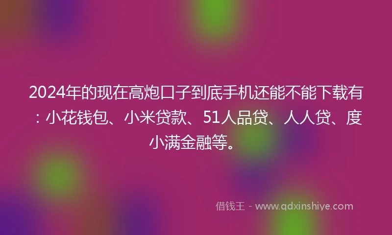 2024年的现在高炮口子到底手机还能不能下载有：小花钱包、小米贷款、51人品贷、人人贷、度小满金融等。
