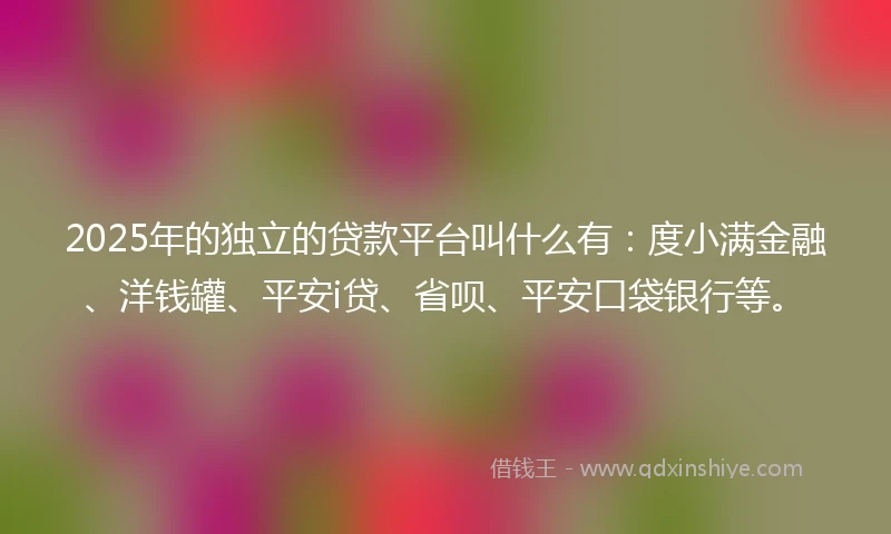 2025年的独立的贷款平台叫什么有：度小满金融、洋钱罐、平安i贷、省呗、平安口袋银行等。