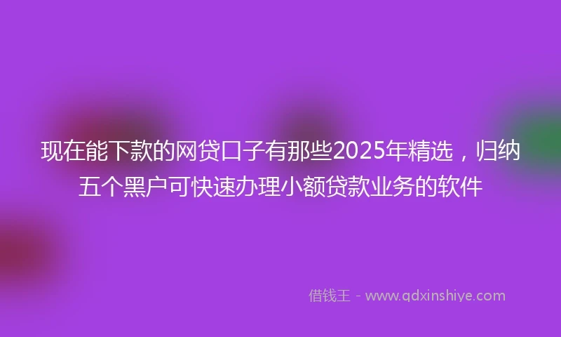 现在能下款的网贷口子有那些2025年精选，归纳五个黑户可快速办理小额贷款业务的软件