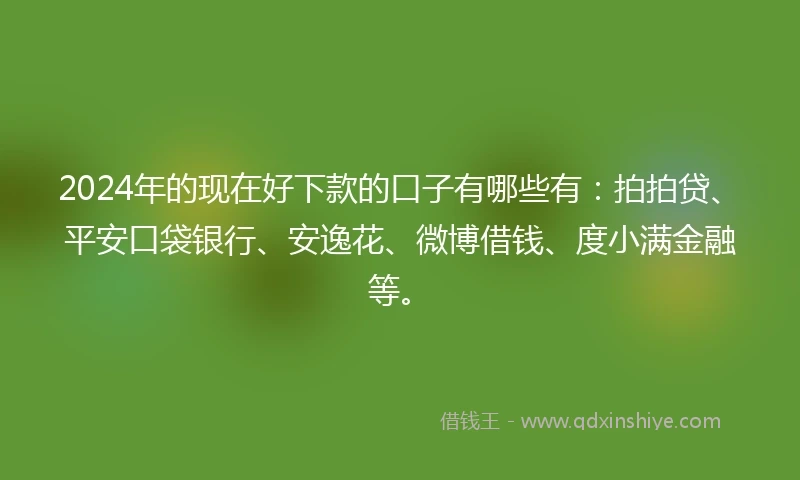 2024年的现在好下款的口子有哪些有：拍拍贷、平安口袋银行、安逸花、微博借钱、度小满金融等。