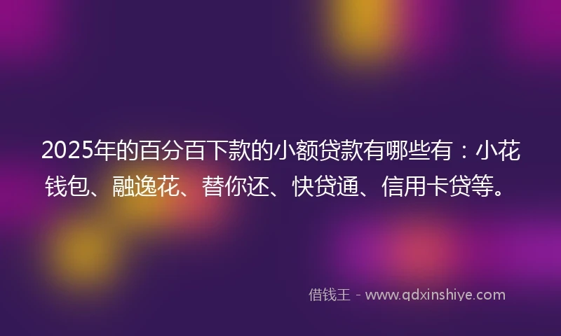 2025年的百分百下款的小额贷款有哪些有：小花钱包、融逸花、替你还、快贷通、信用卡贷等。