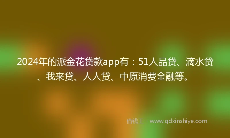 2024年的派金花贷款app有：51人品贷、滴水贷、我来贷、人人贷、中原消费金融等。