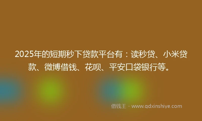 2025年的短期秒下贷款平台有：读秒贷、小米贷款、微博借钱、花呗、平安口袋银行等。