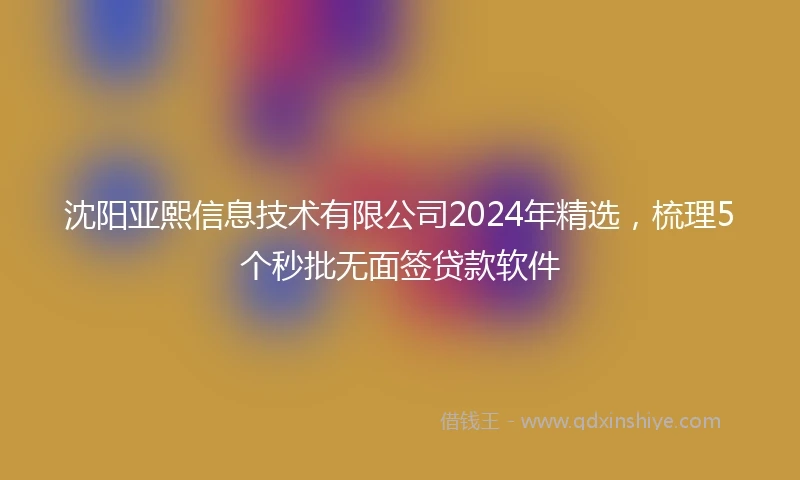 沈阳亚熙信息技术有限公司2024年精选，梳理5个秒批无面签贷款软件