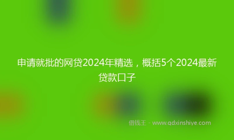 申请就批的网贷2024年精选，概括5个2024最新贷款口子