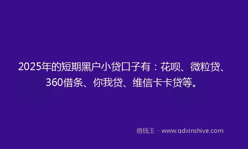 2025年的短期黑户小贷口子有：花呗、微粒贷、360借条、你我贷、维信卡卡贷等。