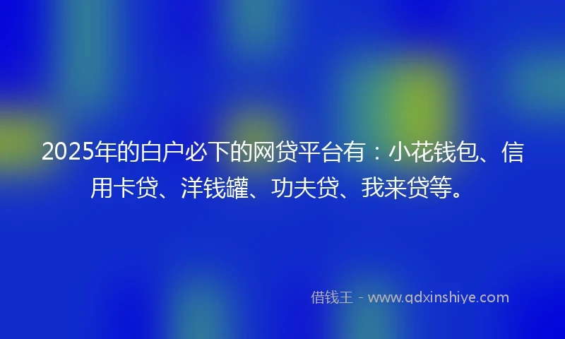 2025年的白户必下的网贷平台有：小花钱包、信用卡贷、洋钱罐、功夫贷、我来贷等。