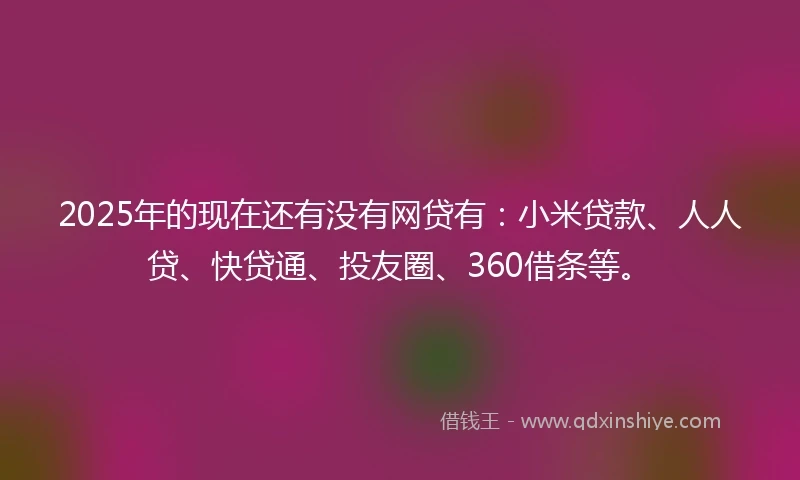2025年的现在还有没有网贷有：小米贷款、人人贷、快贷通、投友圈、360借条等。