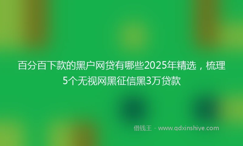 百分百下款的黑户网贷有哪些2025年精选，梳理5个无视网黑征信黑3万贷款