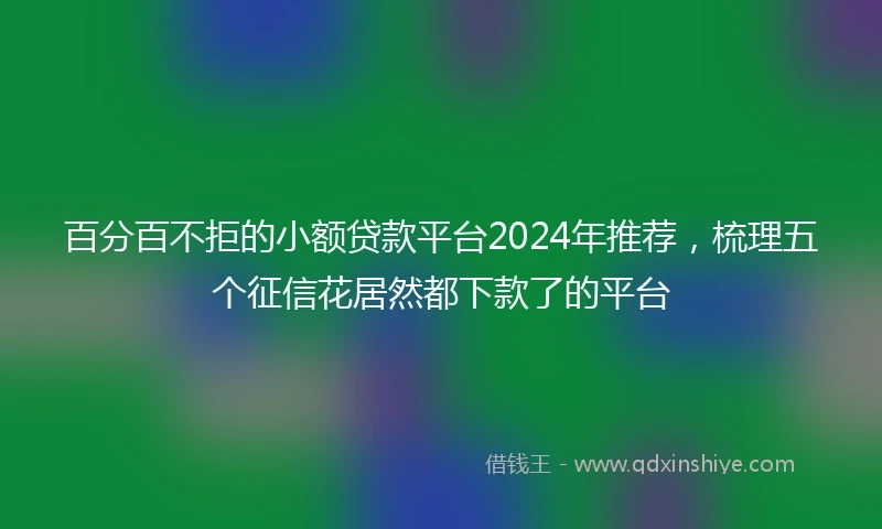 百分百不拒的小额贷款平台2024年推荐，梳理五个征信花居然都下款了的平台