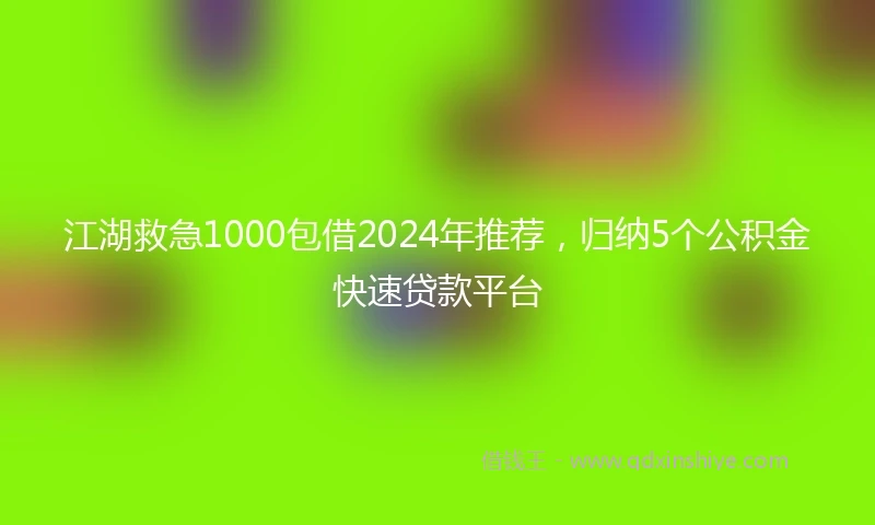 江湖救急1000包借2024年推荐，归纳5个公积金快速贷款平台