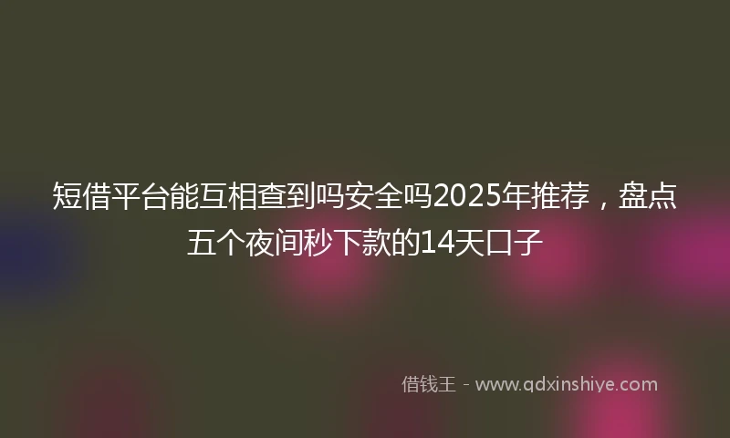 短借平台能互相查到吗安全吗2025年推荐，盘点五个夜间秒下款的14天口子