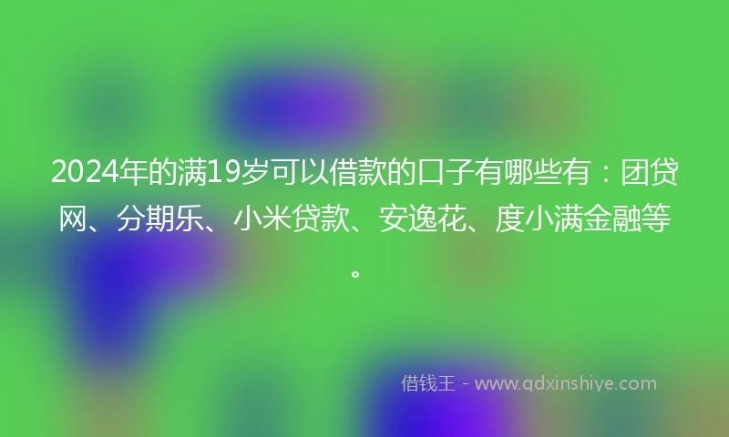 2024年的满19岁可以借款的口子有哪些有：团贷网、分期乐、小米贷款、安逸花、度小满金融等。
