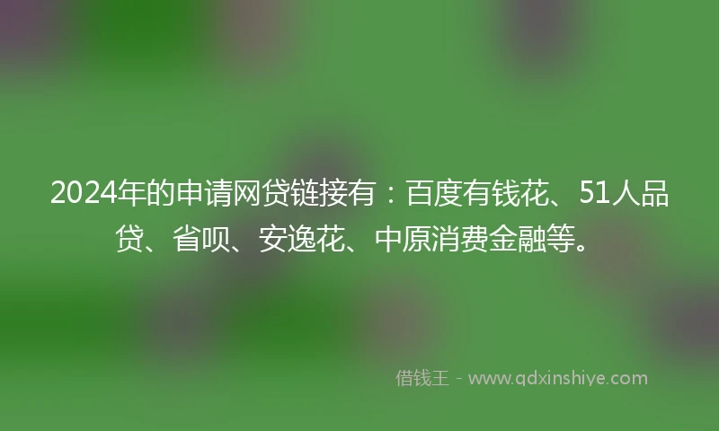 2024年的申请网贷链接有：百度有钱花、51人品贷、省呗、安逸花、中原消费金融等。