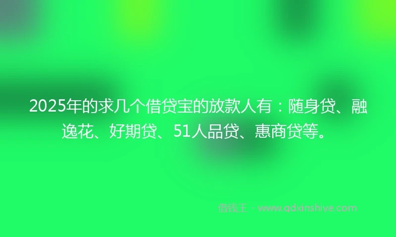 2025年的求几个借贷宝的放款人有：随身贷、融逸花、好期贷、51人品贷、惠商贷等。