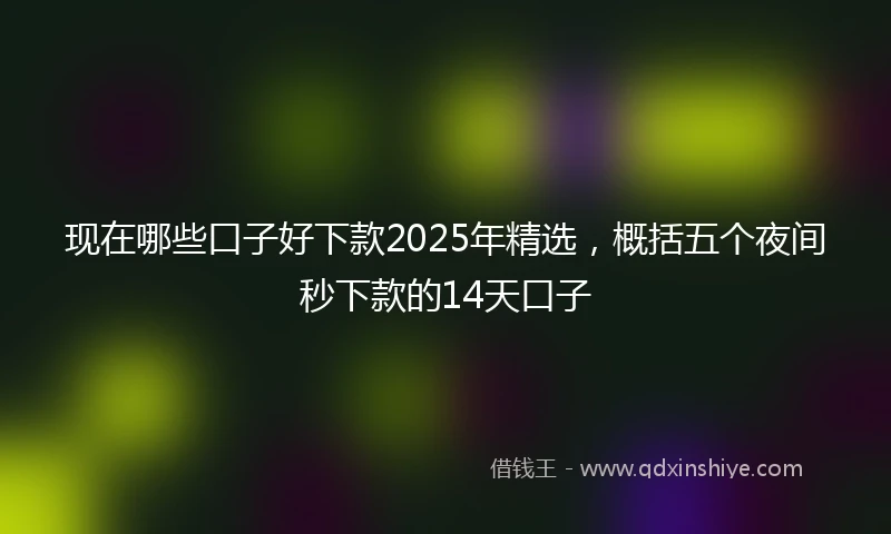 现在哪些口子好下款2025年精选，概括五个夜间秒下款的14天口子