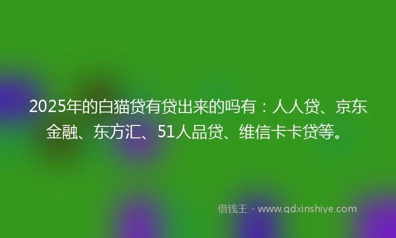 2025年的白猫贷有贷出来的吗有：人人贷、京东金融、东方汇、51人品贷、维信卡卡贷等。