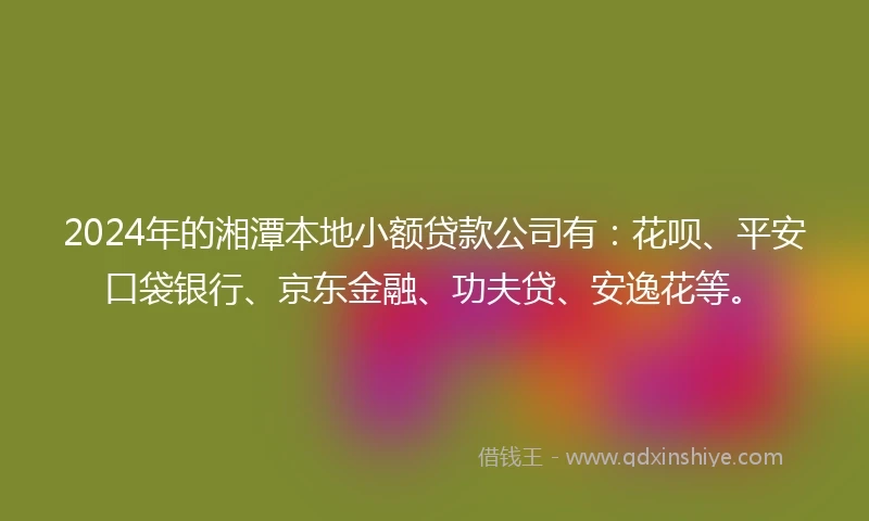 2024年的湘潭本地小额贷款公司有：花呗、平安口袋银行、京东金融、功夫贷、安逸花等。