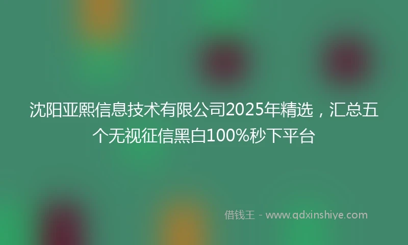 沈阳亚熙信息技术有限公司2025年精选，汇总五个无视征信黑白100%秒下平台