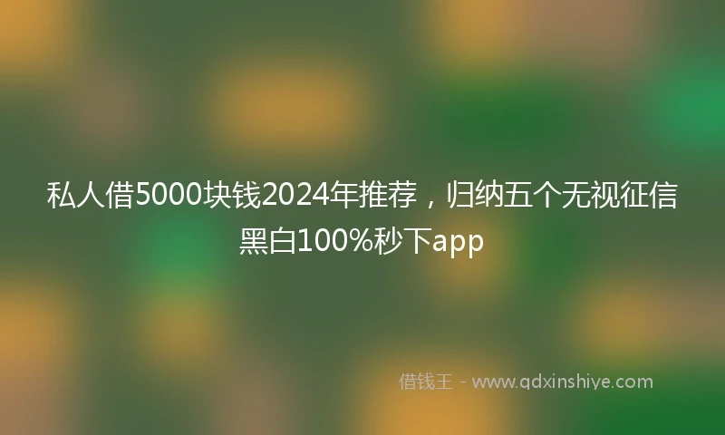 私人借5000块钱2024年推荐，归纳五个无视征信黑白100%秒下app