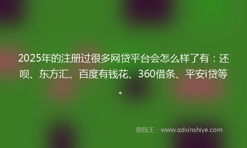 2025年的注册过很多网贷平台会怎么样了有：还呗、东方汇、百度有钱花、360借条、平安i贷等。