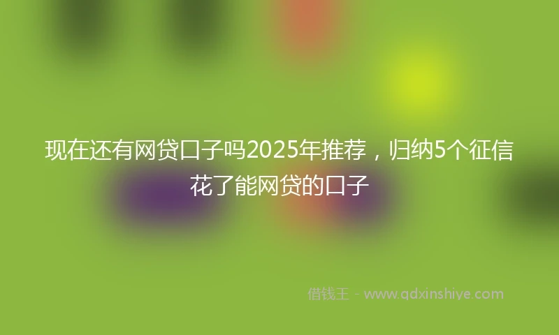 现在还有网贷口子吗2025年推荐，归纳5个征信花了能网贷的口子