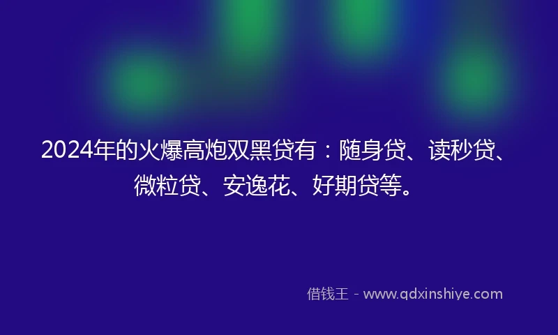 2024年的火爆高炮双黑贷有：随身贷、读秒贷、微粒贷、安逸花、好期贷等。