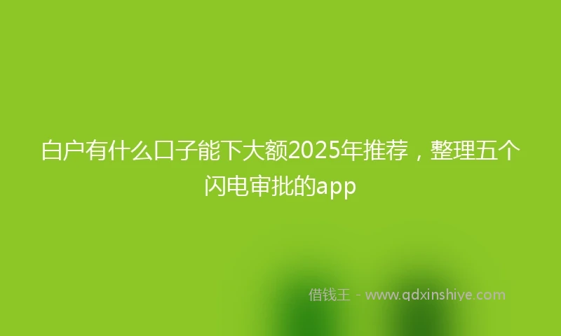 白户有什么口子能下大额2025年推荐，整理五个闪电审批的app