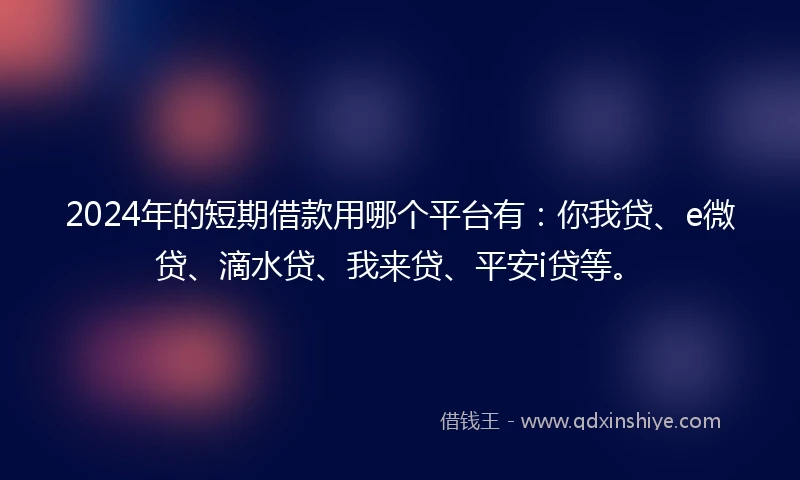 2024年的短期借款用哪个平台有：你我贷、e微贷、滴水贷、我来贷、平安i贷等。