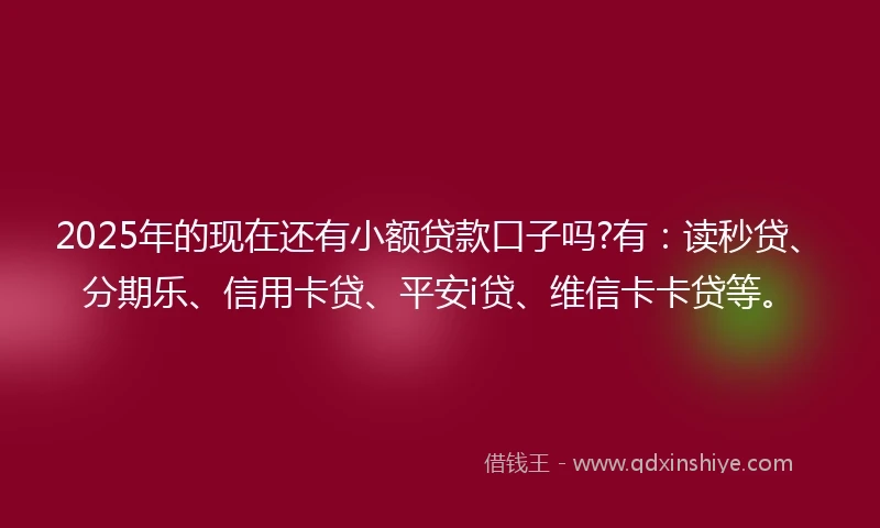 2025年的现在还有小额贷款口子吗?有：读秒贷、分期乐、信用卡贷、平安i贷、维信卡卡贷等。