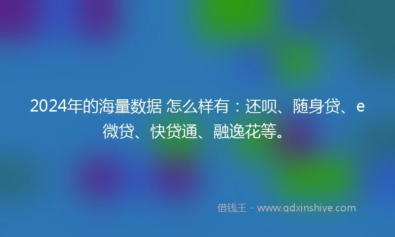 2024年的海量数据 怎么样有：还呗、随身贷、e微贷、快贷通、融逸花等。