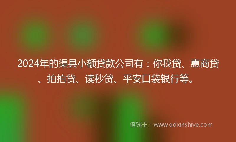 2024年的渠县小额贷款公司有：你我贷、惠商贷、拍拍贷、读秒贷、平安口袋银行等。
