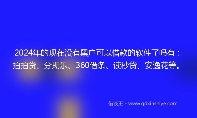 2024年的现在没有黑户可以借款的软件了吗有：拍拍贷、分期乐、360借条、读秒贷、安逸花等。