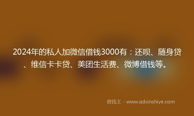 2024年的私人加微信借钱3000有：还呗、随身贷、维信卡卡贷、美团生活费、微博借钱等。