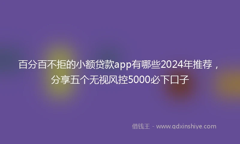 百分百不拒的小额贷款app有哪些2024年推荐，分享五个无视风控5000必下口子