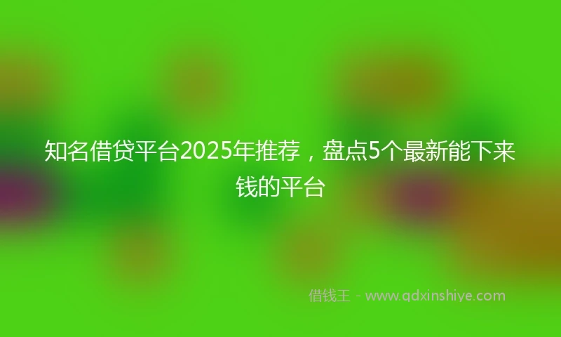 知名借贷平台2025年推荐，盘点5个最新能下来钱的平台
