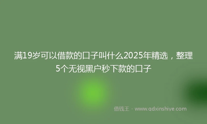 满19岁可以借款的口子叫什么2025年精选，整理5个无视黑户秒下款的口子