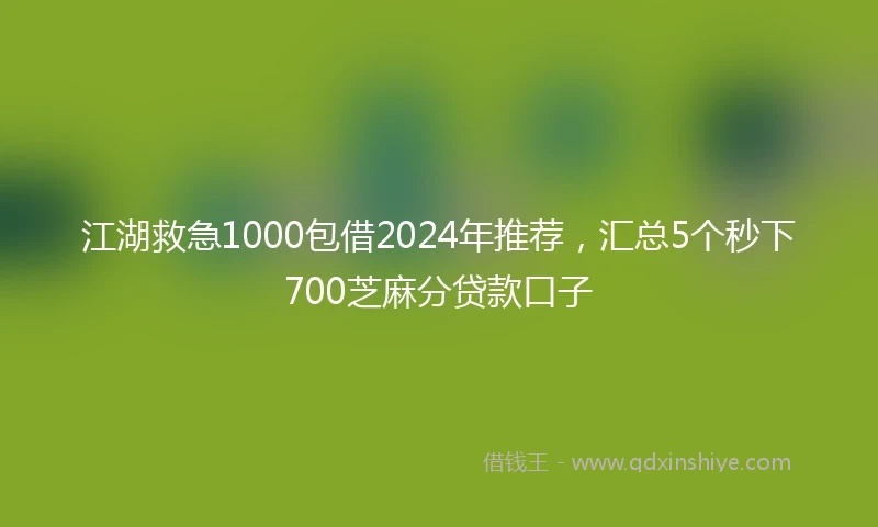 江湖救急1000包借2024年推荐，汇总5个秒下700芝麻分贷款口子