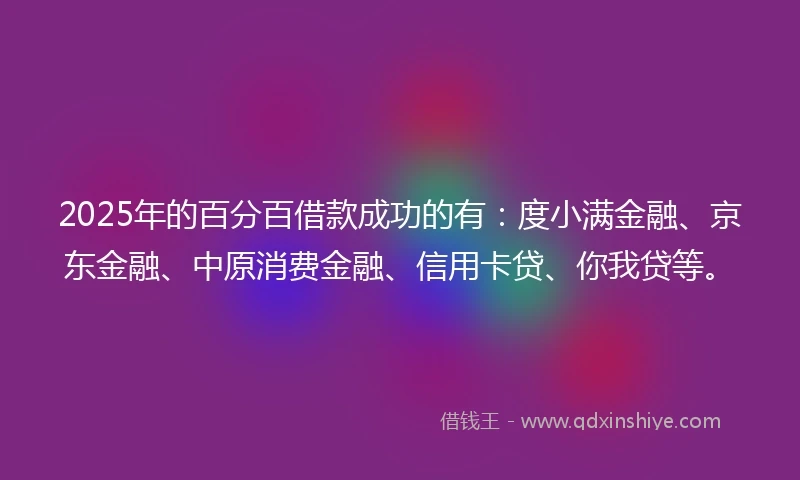 2025年的百分百借款成功的有：度小满金融、京东金融、中原消费金融、信用卡贷、你我贷等。