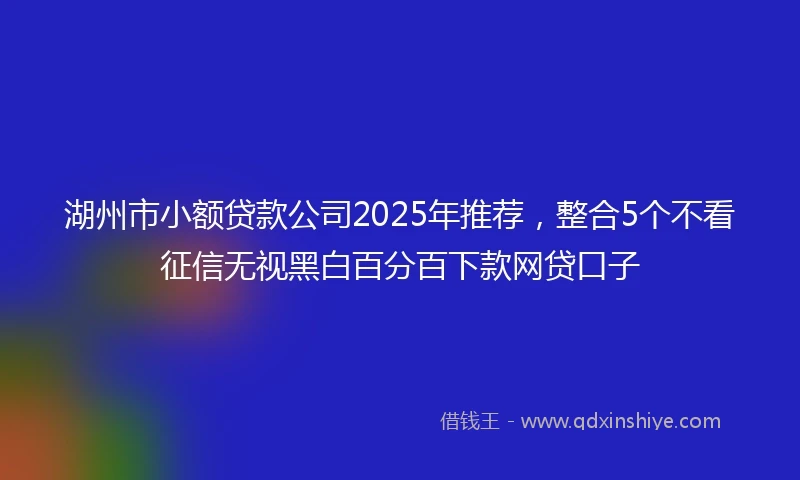 湖州市小额贷款公司2025年推荐，整合5个不看征信无视黑白百分百下款网贷口子