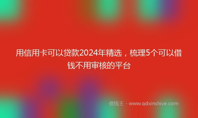 用信用卡可以贷款2024年精选，梳理5个可以借钱不用审核的平台