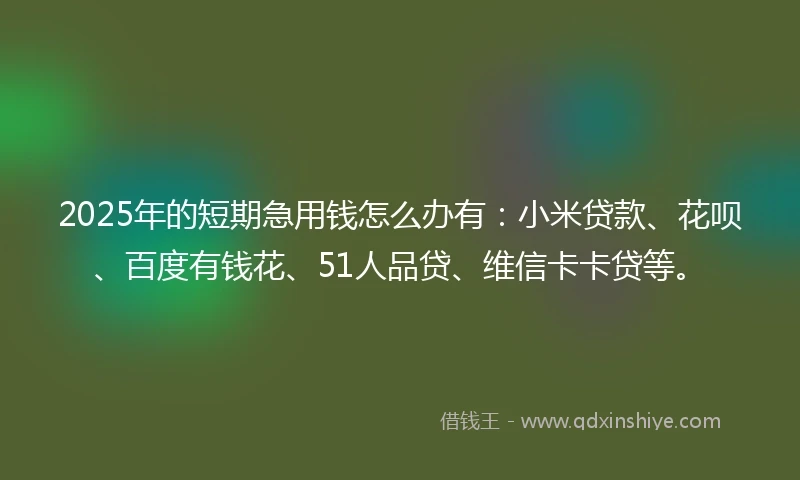 2025年的短期急用钱怎么办有：小米贷款、花呗、百度有钱花、51人品贷、维信卡卡贷等。