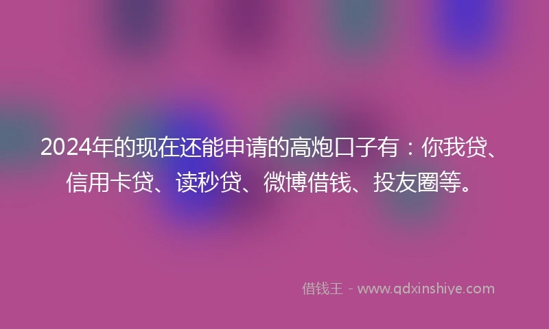 2024年的现在还能申请的高炮口子有：你我贷、信用卡贷、读秒贷、微博借钱、投友圈等。